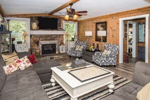 Télévision, cheminée, lecteur de DVD, livres