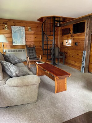 Télévision, cheminée, lecteur de DVD, livres