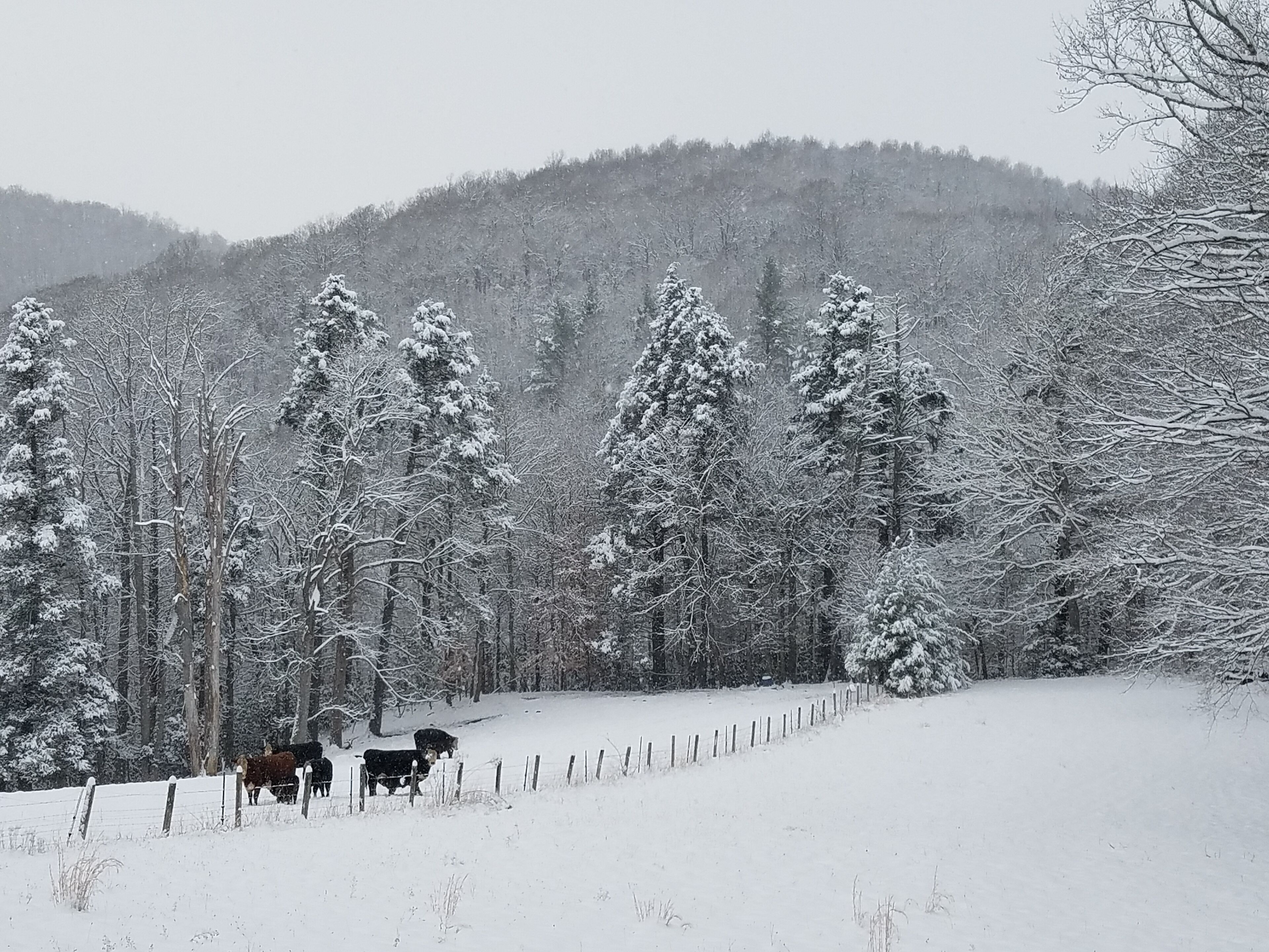 Wintersport/Ski