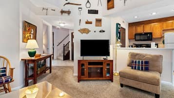 TV, fireplace, DVD player, books