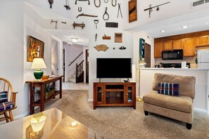 TV, fireplace, DVD player, books