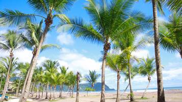 Plage, chaises longues