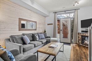 TV, fireplace, video games, DVD player