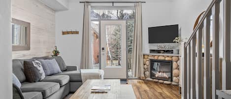 TV, fireplace, video games, DVD player