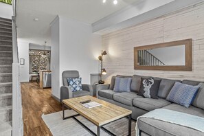 TV, fireplace, video games, DVD player