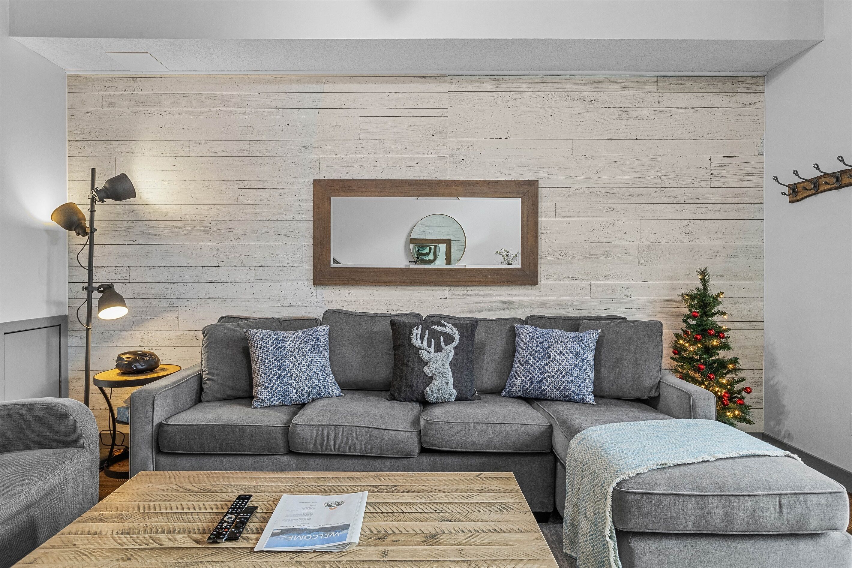 TV, fireplace, video games, DVD player