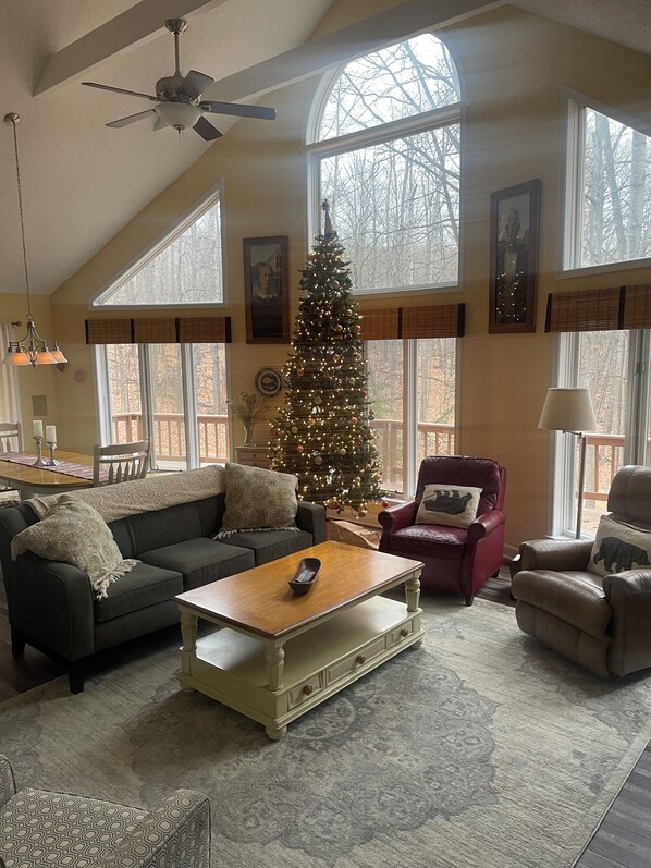 TV, fireplace, DVD player, books