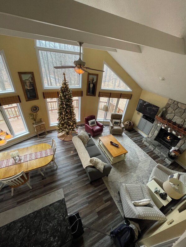 TV, fireplace, DVD player, books