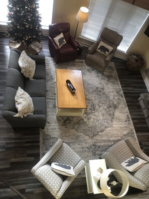 TV, fireplace, DVD player, books