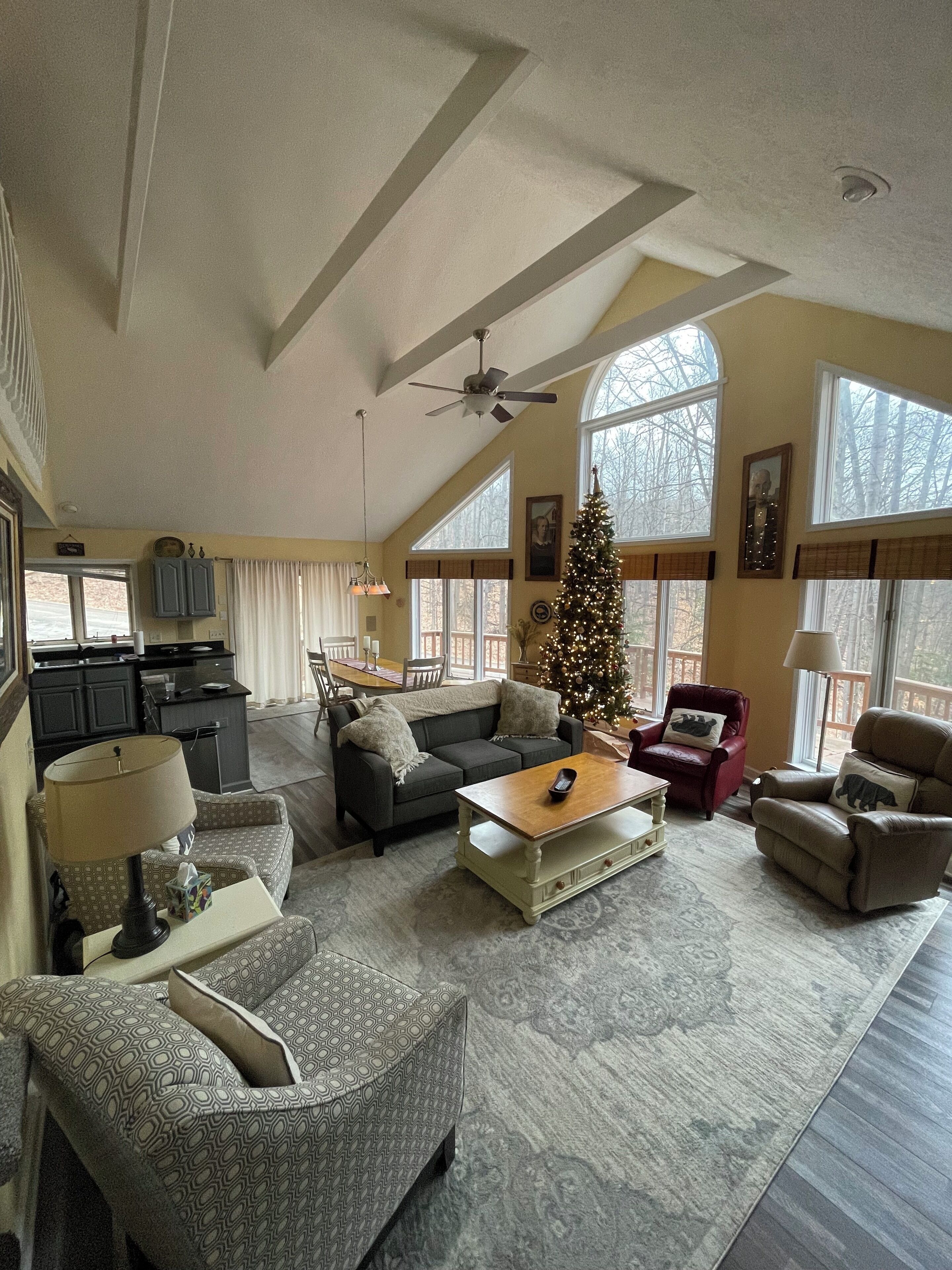 TV, fireplace, DVD player, books