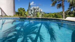 Una piscina azul cristalina rodeada de plantas tropicales y una palmera.