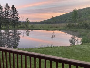 Property grounds - Scenic Fingerlakes Hideaway , Bristol mountain, Letchworth park! (Honeoye)