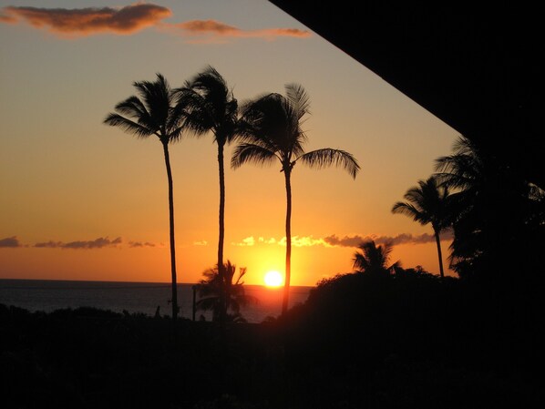 A sunset over the ocean with palm trees silhouetted against the sky. - South Maui, Condo in Kihei, Great Location - Top Floor, Quiet And Private! (Kihei)