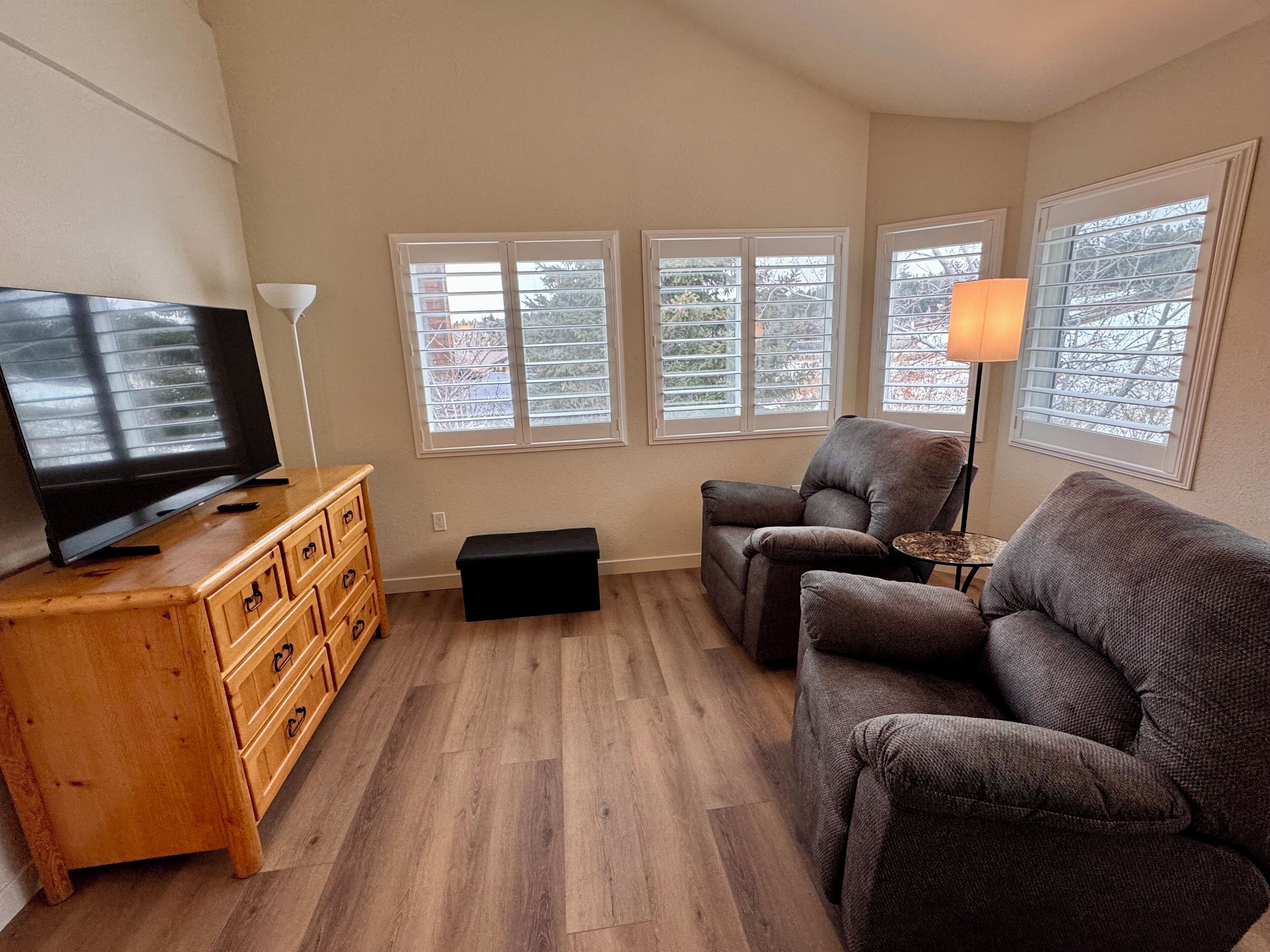 TV connectée, cheminée, jeux vidéo, lecteur de DVD