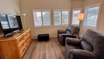 TV connectée, cheminée, jeux vidéo, lecteur de DVD