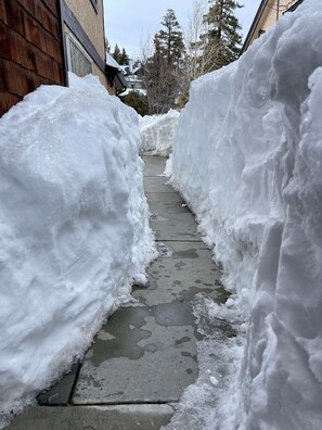 Terrain de l’hébergement 