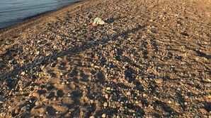 A pebbled beach with a wooden structure extending into the water. - WOLCOTT NY  Waterfront cottage rental on Port Bay seasonal available 2026 (Port Bay - Wolcott)