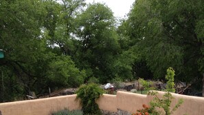 Un jardín ajardinado con muro de piedra, sendero de concreto y diversas plantas.