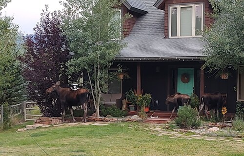 Meadow Magic + FREE NIGHT! Spa, Gourmet Kitchen, 2 Free MTB's, 1hr2 Yellowstone