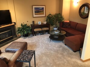 Smart TV, fireplace, video games, DVD player