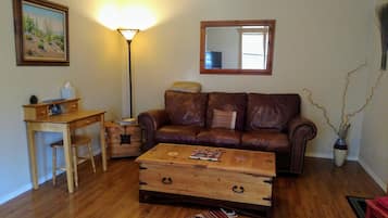 Fernseher, Kamin, DVD-Player, Bücher