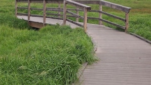 Een houten loopplaquettebrug in een grasrijk gebied.