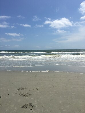 Beach nearby, sun loungers - Ocean and Pool view - Dec. and Jan. dates available (Myrtle Beach)