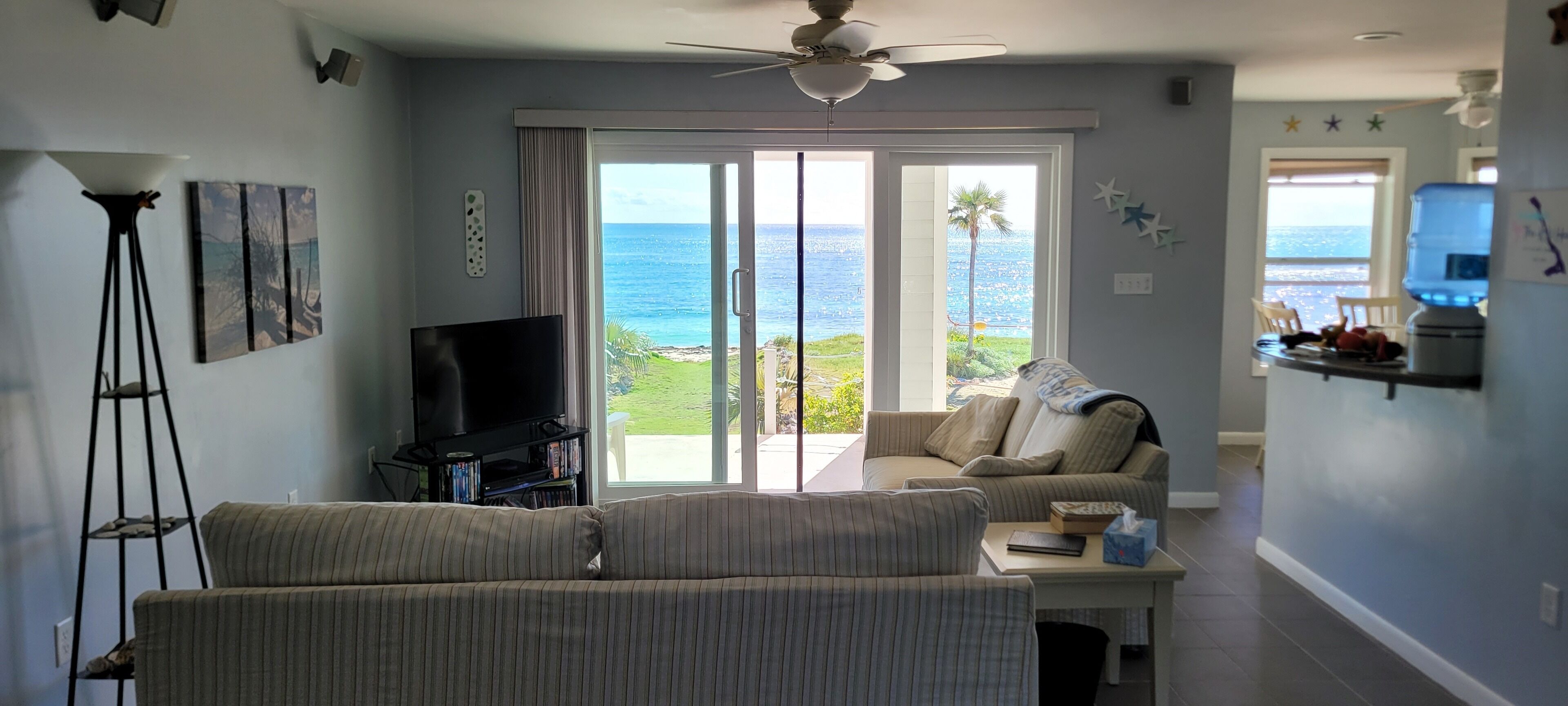 Smart TV, DVD player, books, video library