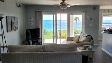 Smart TV, reproductor de DVD, libros y videoteca