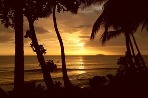 Ein Sonnenuntergang mit Palmen und dem Meer im Hintergrund.