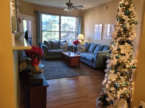 Smart TV, fireplace, video library, printers