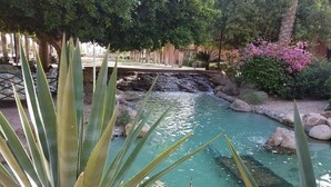 A serene garden with a clear water feature, surrounded by large rocks and lush greenery.