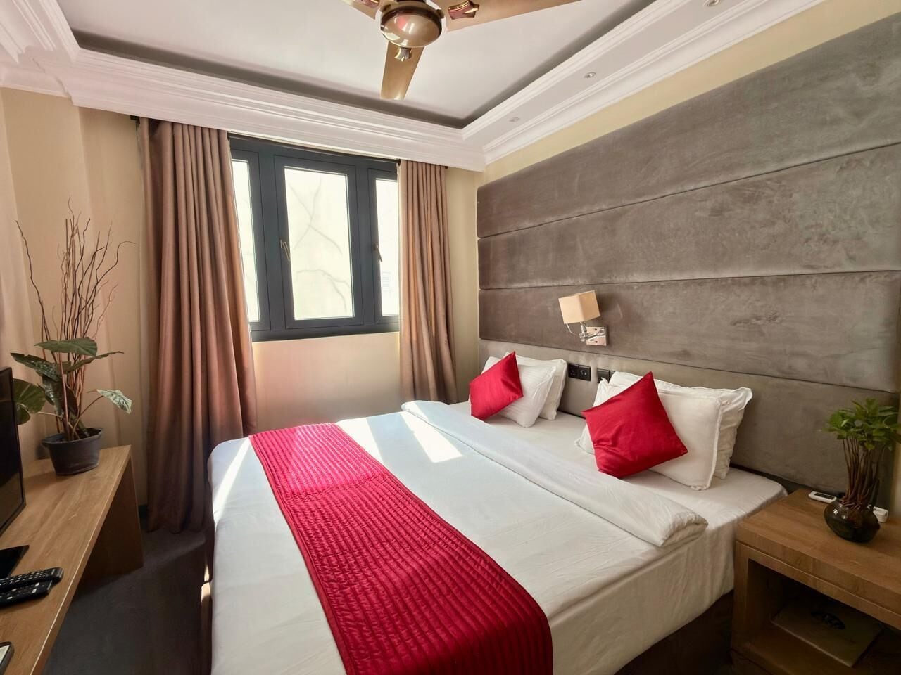 Habitación de hotel con cama, escritorio, silla, planta, ventana y ventilador de techo.