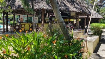 Poolside bar