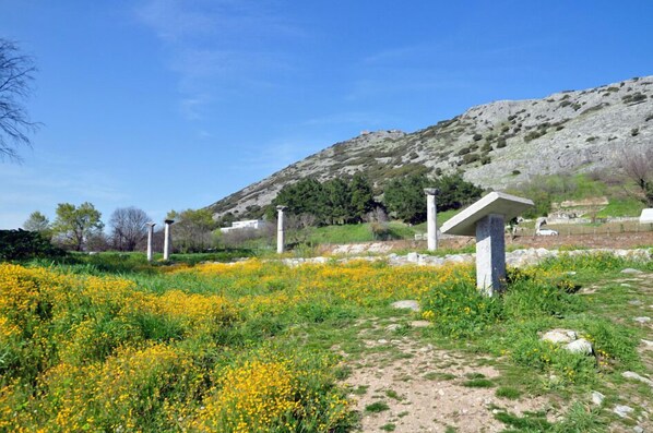 A natural landscape with a stone structure, possibly a monument, surrounded by yellow flowers and a rocky hillside. - Lydia Hotel (Kavala)