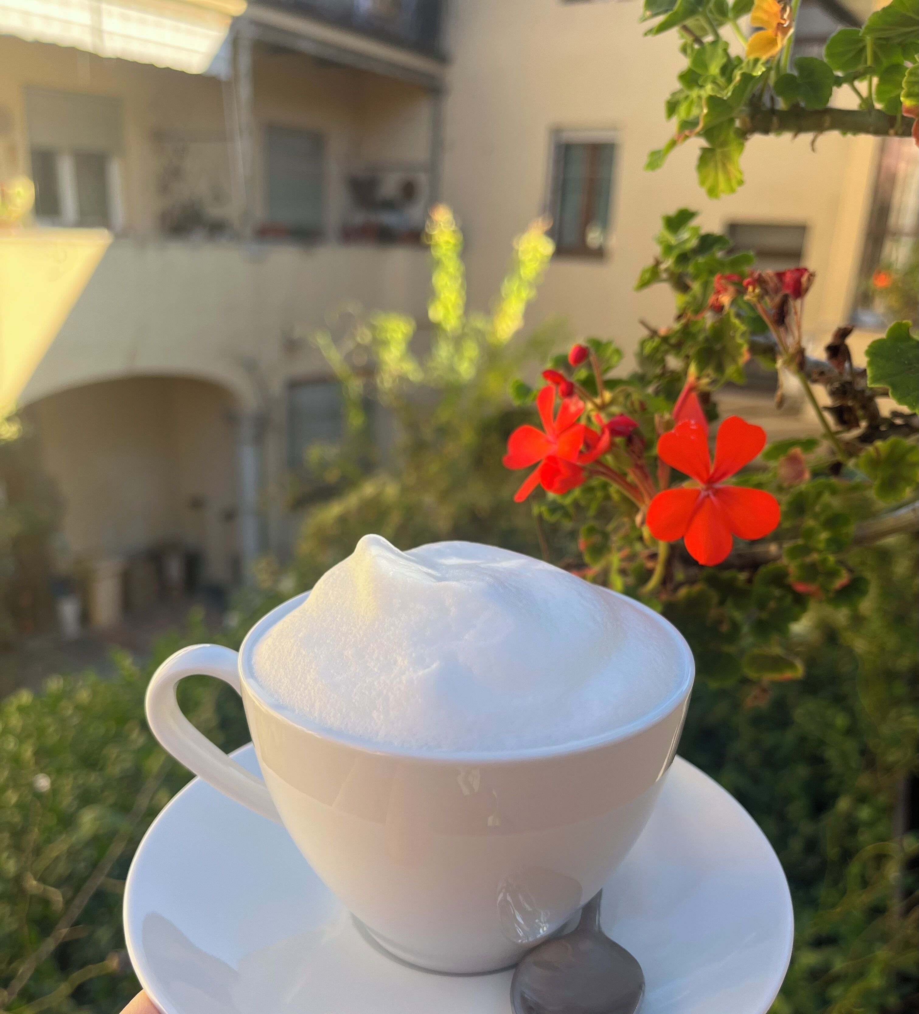 A white cup of coffee with foam on a saucer, held by a hand.