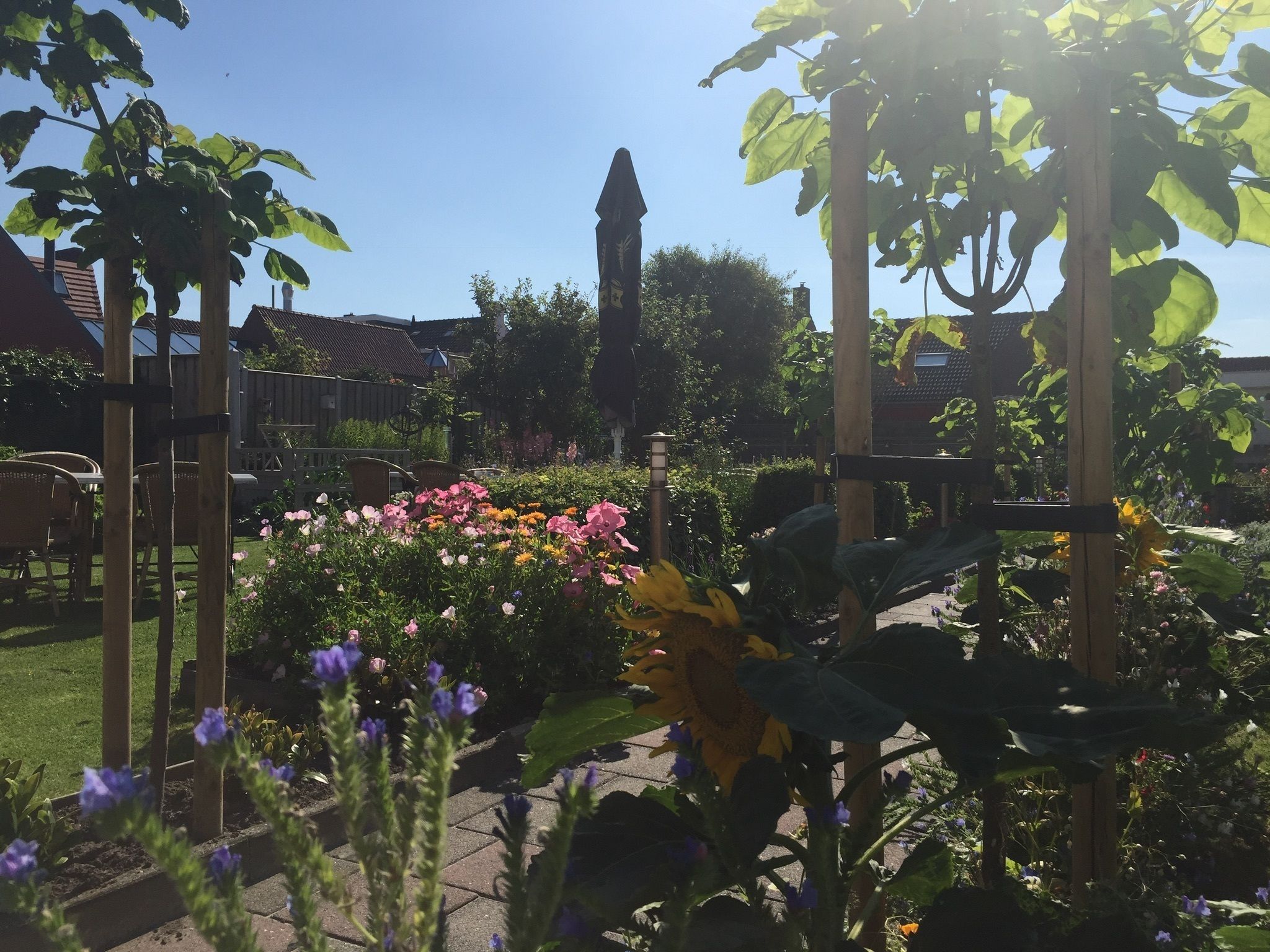 Parco della struttura