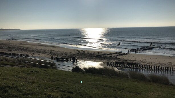 A beach with a clear sky, waves, and a bird flying. - Hotel Valkenhof (Zoutelande)