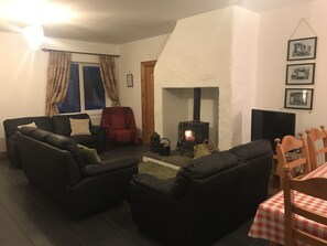 TV, fireplace