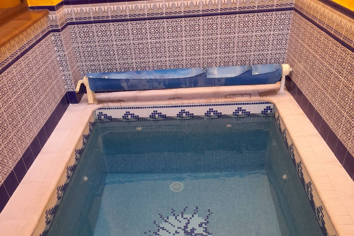 A swimming pool with a decorative tile pattern and a metal handrail.