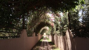 Unclassified image, 2 of 33, button - Olivar Palace-Luxury Villa1 (Marrakech)
