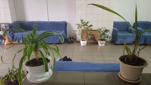 Una sala de estar con dos sofás azules, una alfombra azul y varias plantas en macetas.