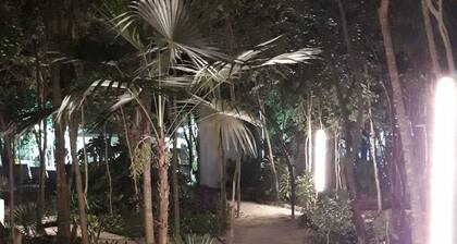 Casa Falabella - Puerto Marino