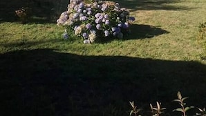 Garden - Cabañas Paralelos del Sur (Llanquihue)