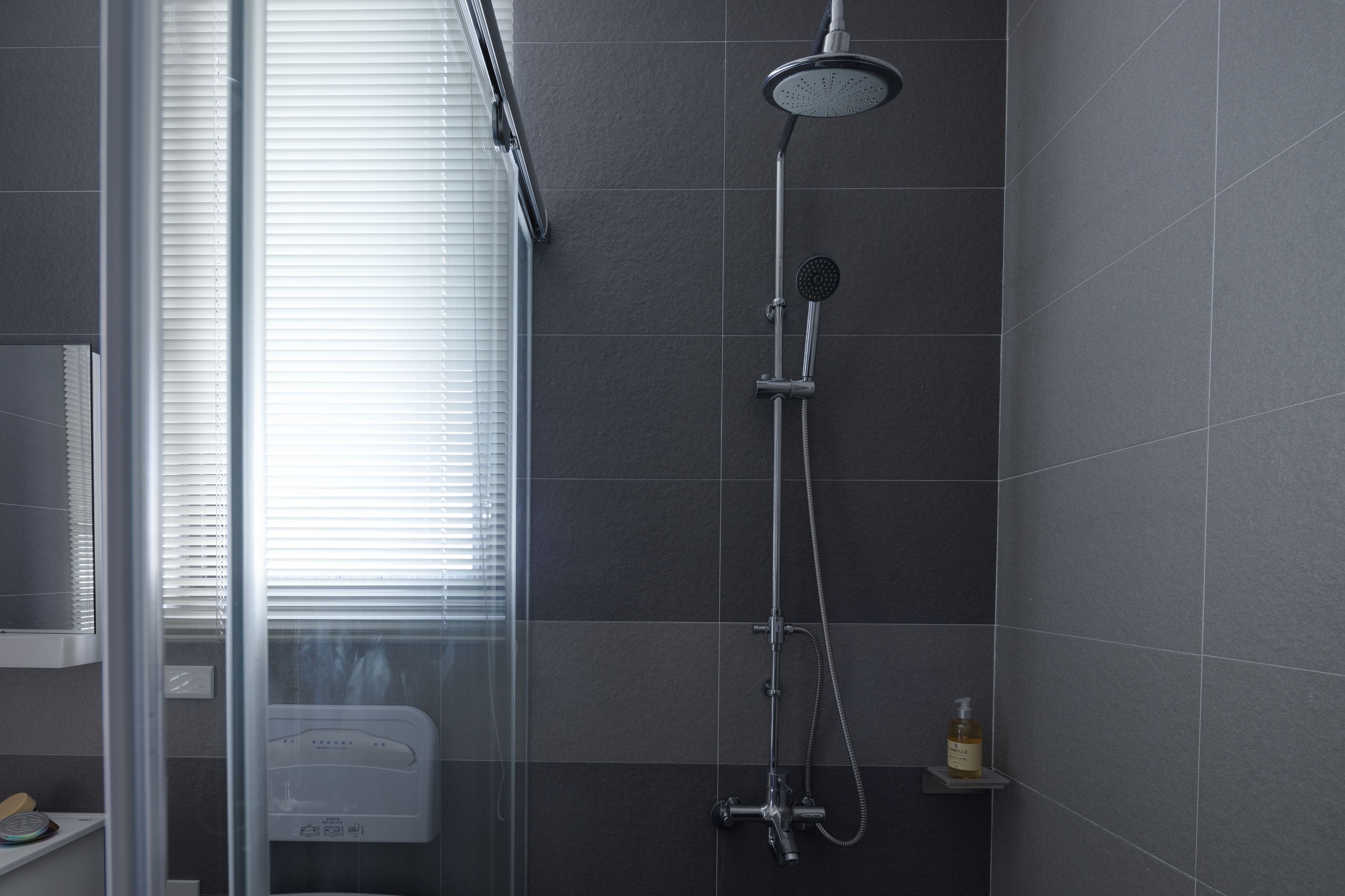 Douche de la salle de bain