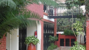 Un patio con paredes de ladrillo rojo, una planta grande en maceta y un extintor.