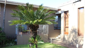 Un edificio residencial con una pequeña palmera en el jardín delantero.