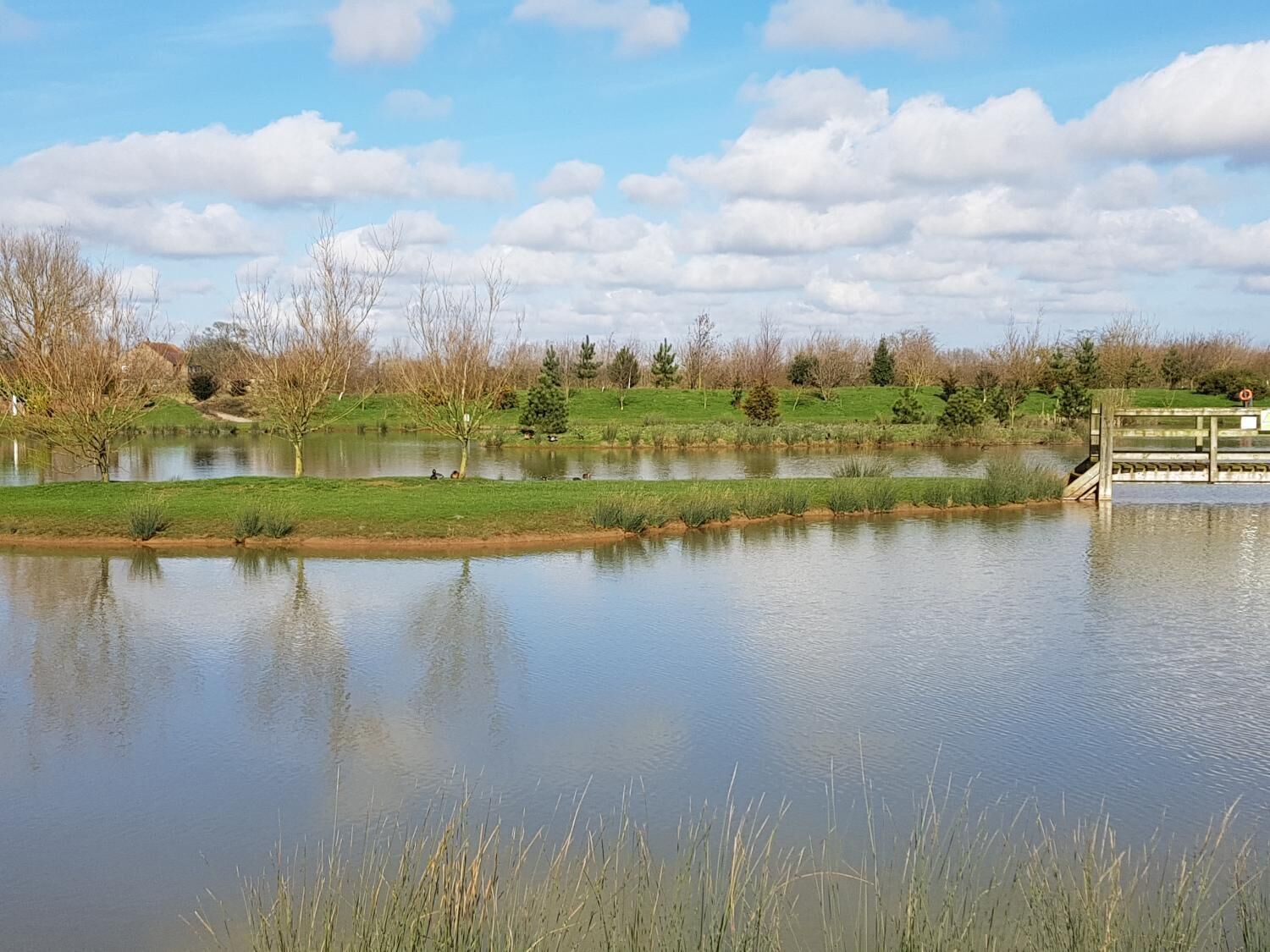 A tranquil lake with a wooden dock and a grassy bank.