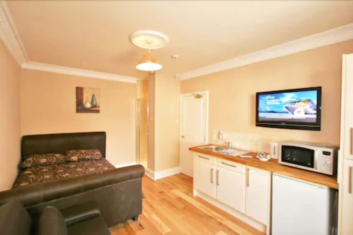 A compact room with a bed, a kitchenette, and a TV mounted on the wall.