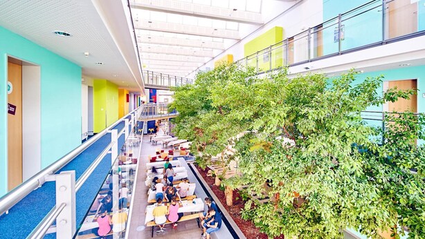 Un espace intérieur à plusieurs niveaux, doté de coins salon et d’un arbre central.